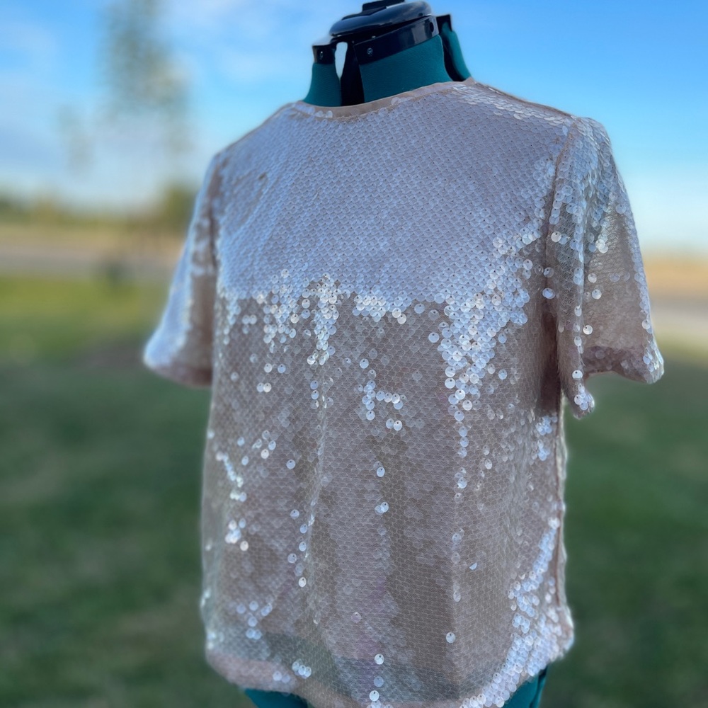 LOFT sequin Peach Blouse - Picture 5 of 9
